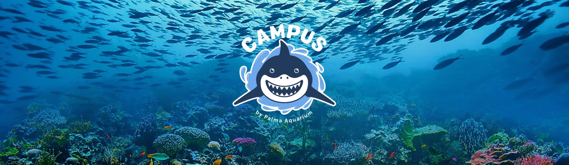 Easter Campus 2026 (Palma Aquarium)